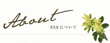 About 8X8について