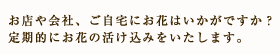 お店や会社、ご自宅にお花はいかがですか？定期的にお花の活け込みをいたします。