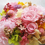 Preserved flower-No.043