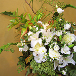 スタンド・胡蝶蘭-No.002