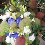 スタンド・胡蝶蘭-No.003