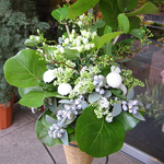 スタンド・胡蝶蘭-No.005