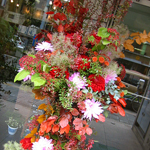 スタンド・胡蝶蘭-No.006