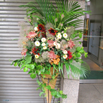 スタンド・胡蝶蘭-No.007