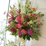 スタンド・胡蝶蘭-No.008