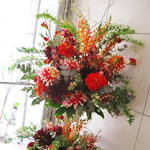 スタンド・胡蝶蘭-No.009