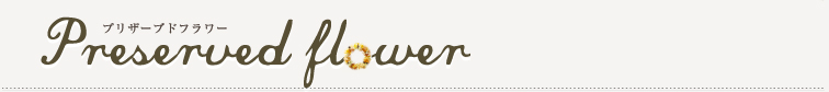 Preserved Flower プリザーブドフラワー